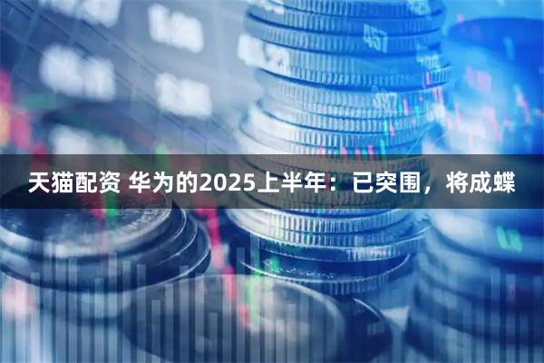 天猫配资 华为的2025上半年：已突围，将成蝶