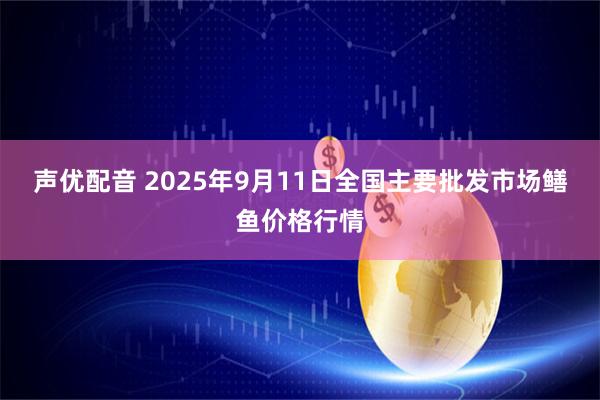 声优配音 2025年9月11日全国主要批发市场鳝鱼价格行情