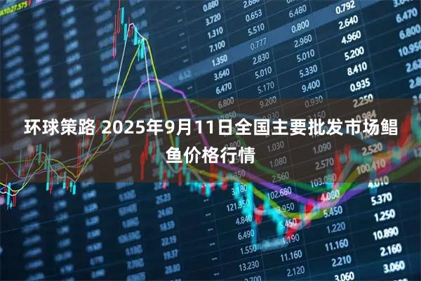 环球策路 2025年9月11日全国主要批发市场鲳鱼价格行情