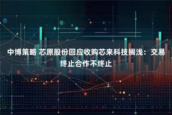 中博策略 芯原股份回应收购芯来科技搁浅：交易终止合作不终止